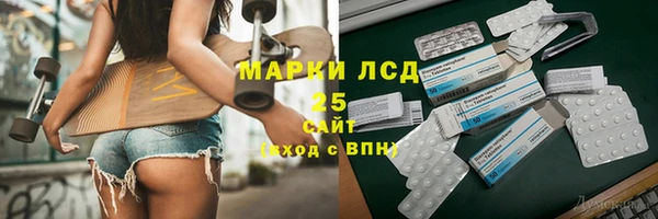 индика Богданович