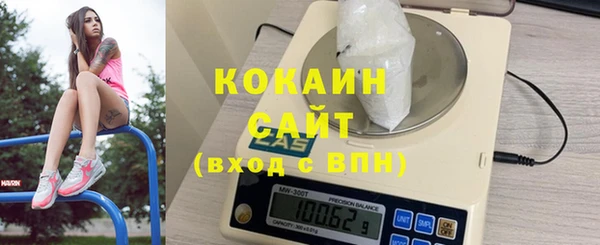 индика Богданович