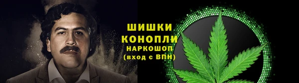 индика Богданович